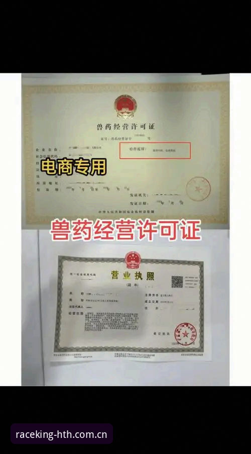 华体会体育平台新手操作教程：从注册到流畅竞技的全流程指南